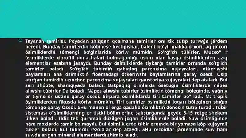 Tamir, Paqa, Japıraq metomorfozı 3
