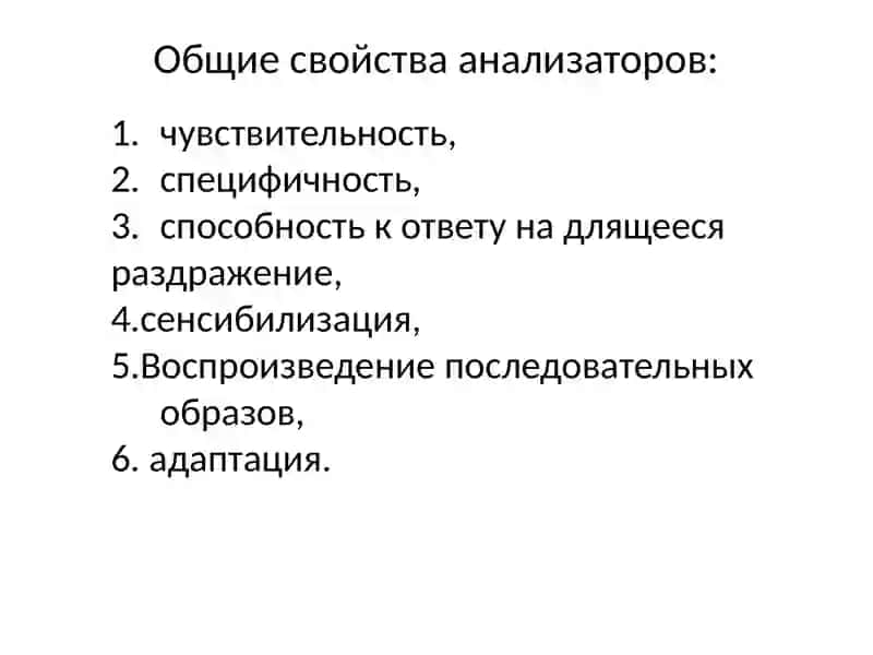 Физиология анализаторов 3