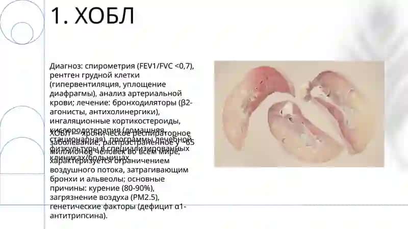 Система органов дыхания 3