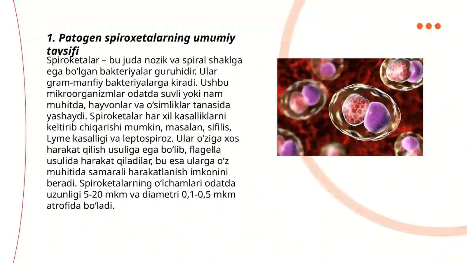 Patogen spiroxetalar.Zaxm,qo'zg'atuvchilari 3