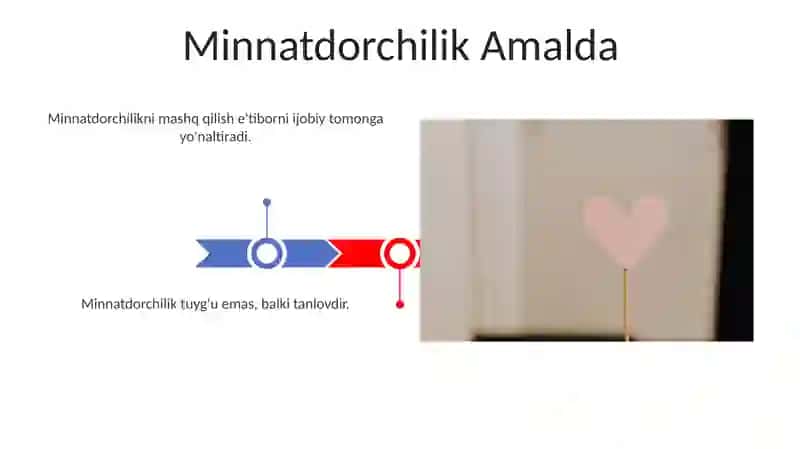 Minnatdorchilik Amalda 3