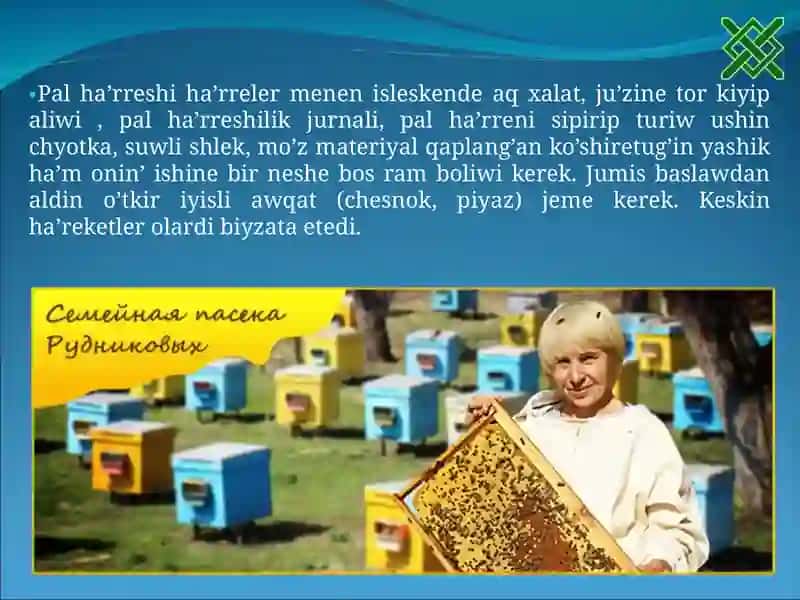 Pal ha’rreler va ularning ishlatilishi 3