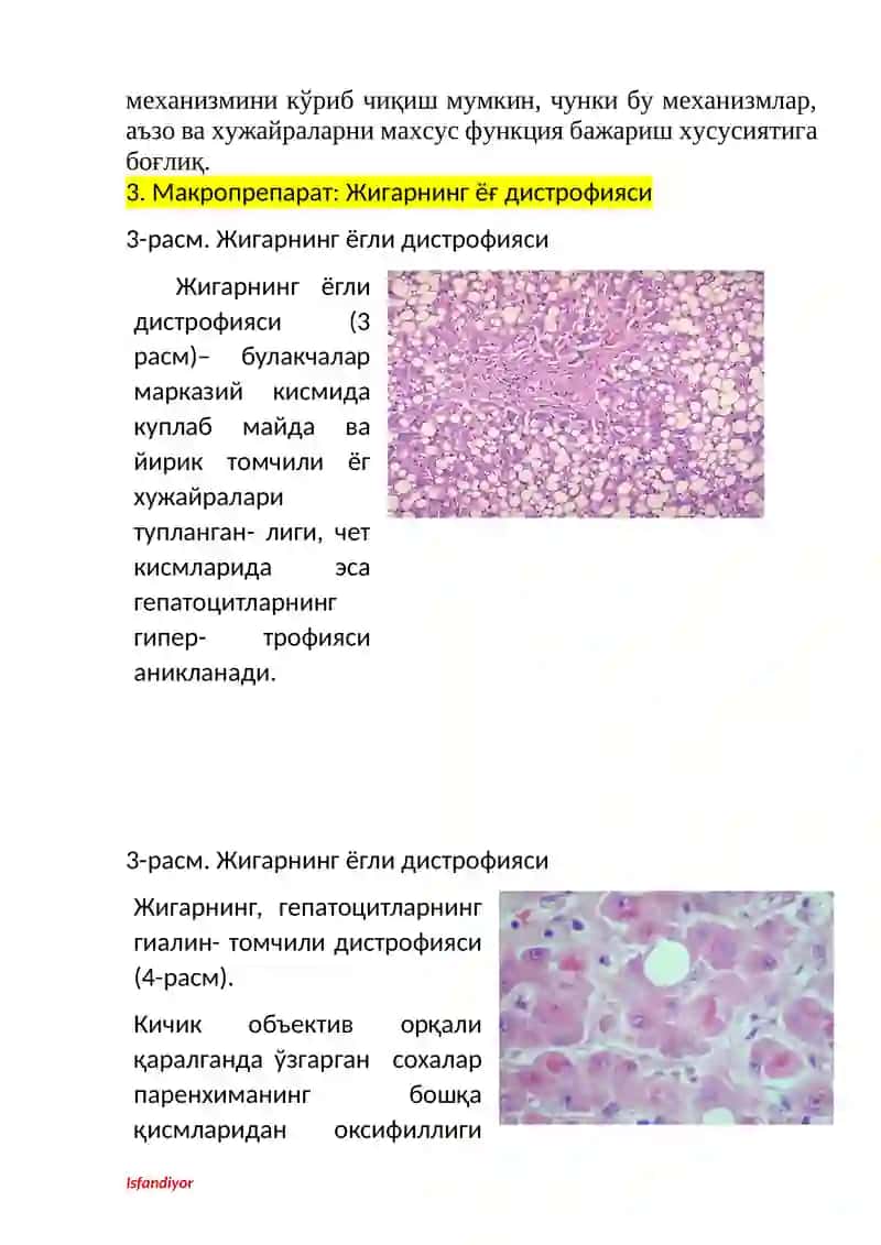 Минерал моддалар алмашинувининг бузилиши 3