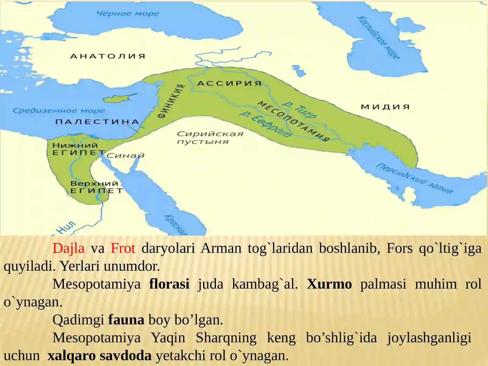 Qadimgi Mesopotamiya. Qadimgi Ossuriya. Qadimgi Xett 3