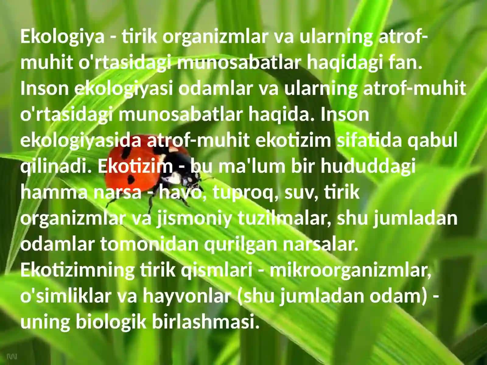 Insonekalogiyasi N 111-S 3