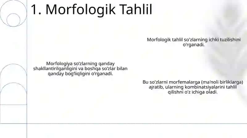 Morfologiya 3