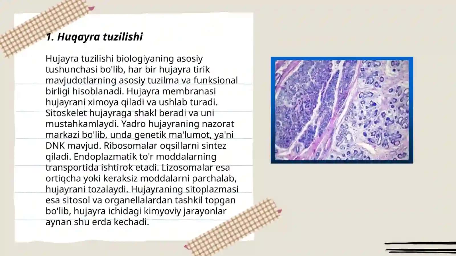 SITOLOGIYA 3