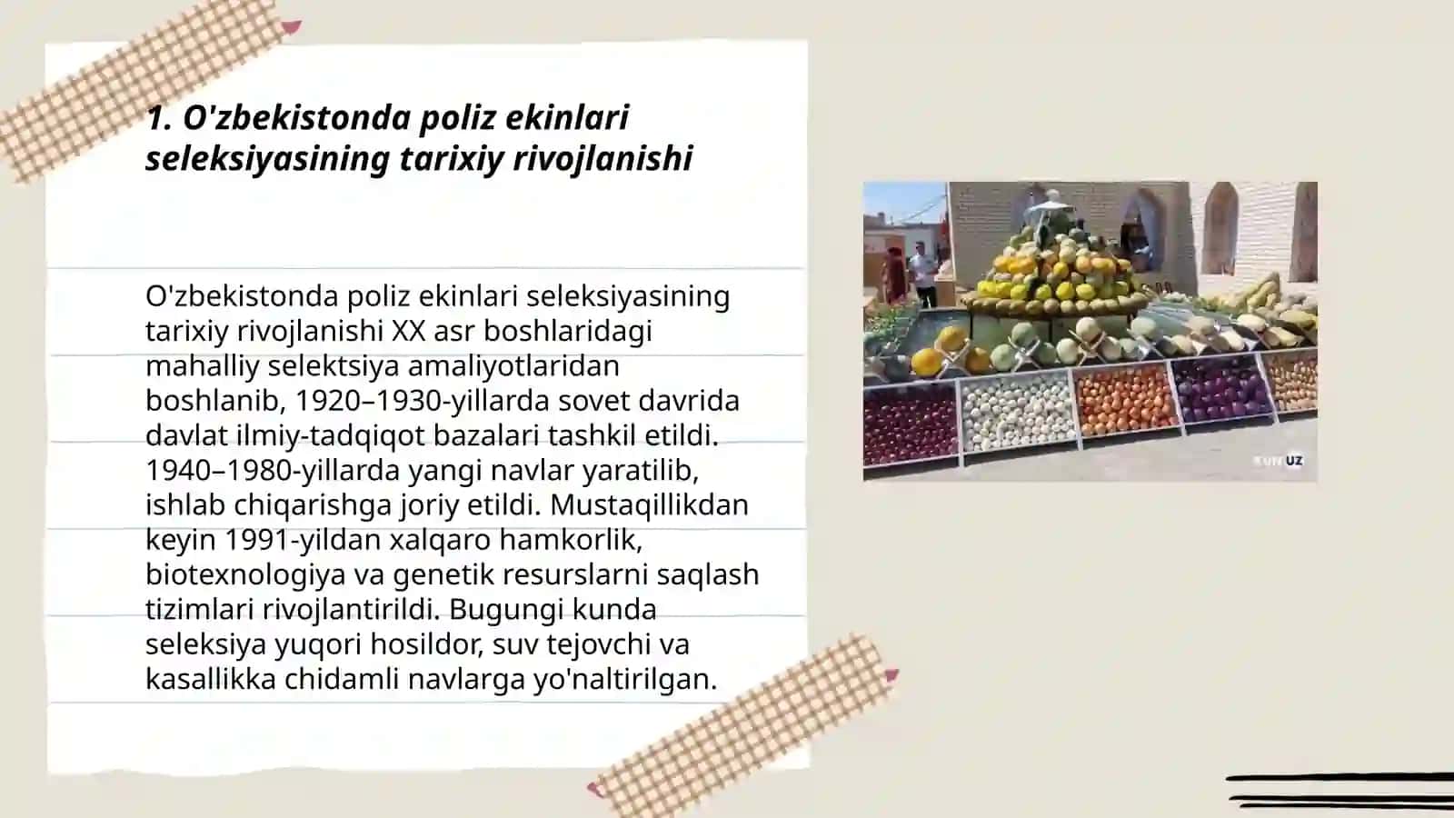 O'zbekistonda poliz ekinlari seleksiyasi 3