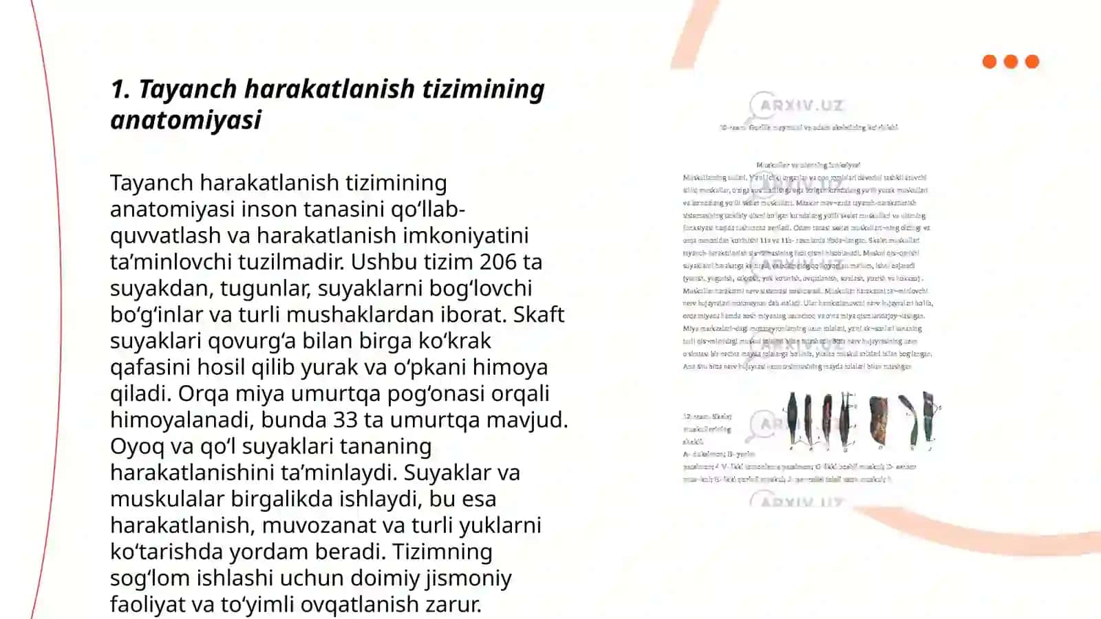Tayanch harakatlanish sistemasi 3