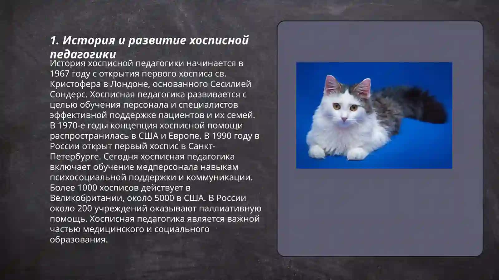 Хосписная педагогика - как неотъемлемая часть инклюзии 3