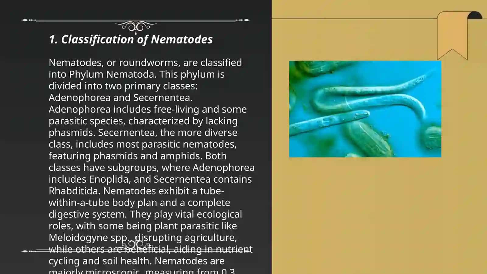 Bo'rtma nematoda 3
