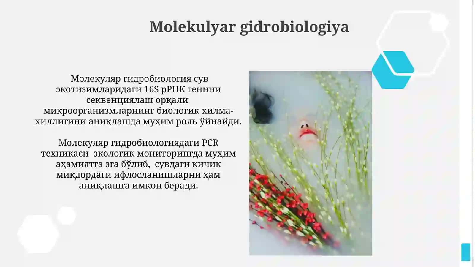 Molekulyar gidrobiologiya 3