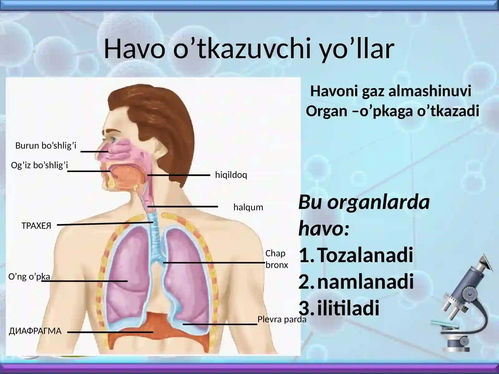 Nafas olish 3