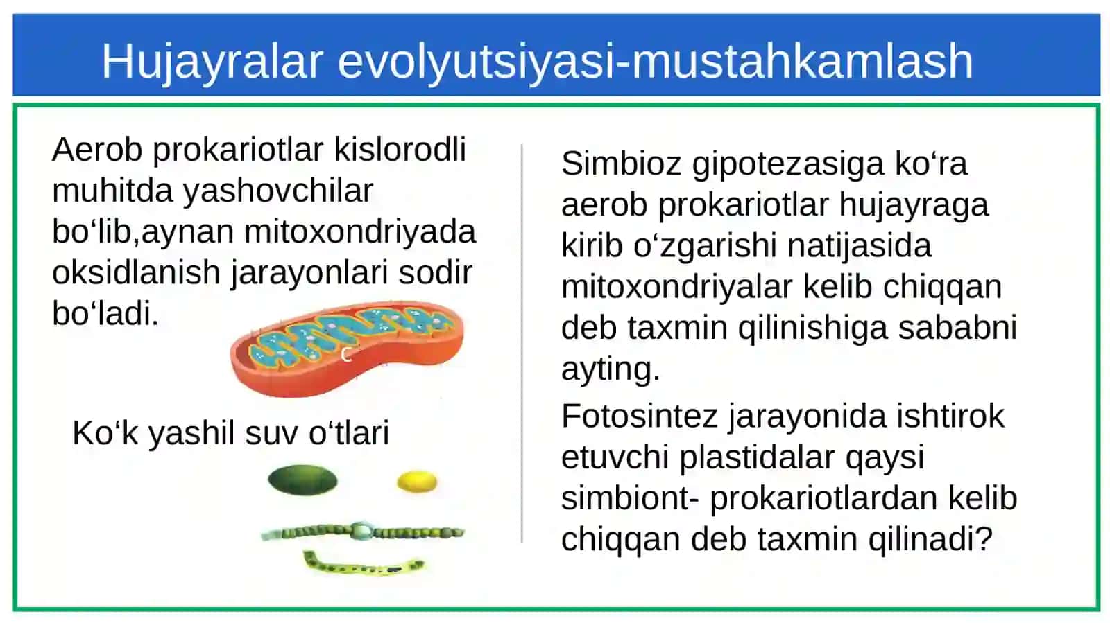 Hujayraning kimyoviy elementlari 3