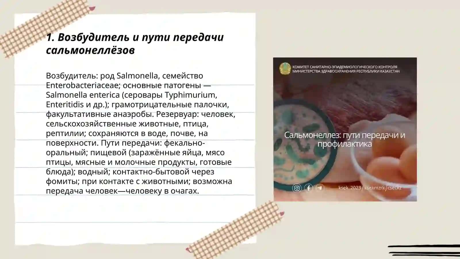 Эпидемиология и профилактика сальмонеллёз 3