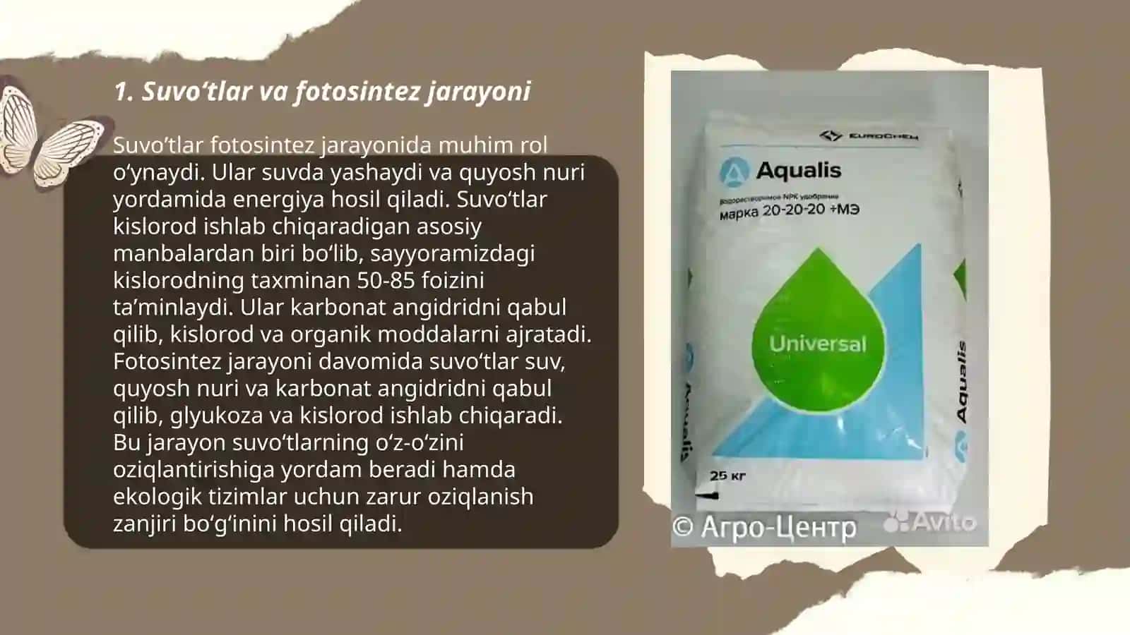 Suvoʻtlarning tabiatdagi va inson hayotidagi ahamiyati 3