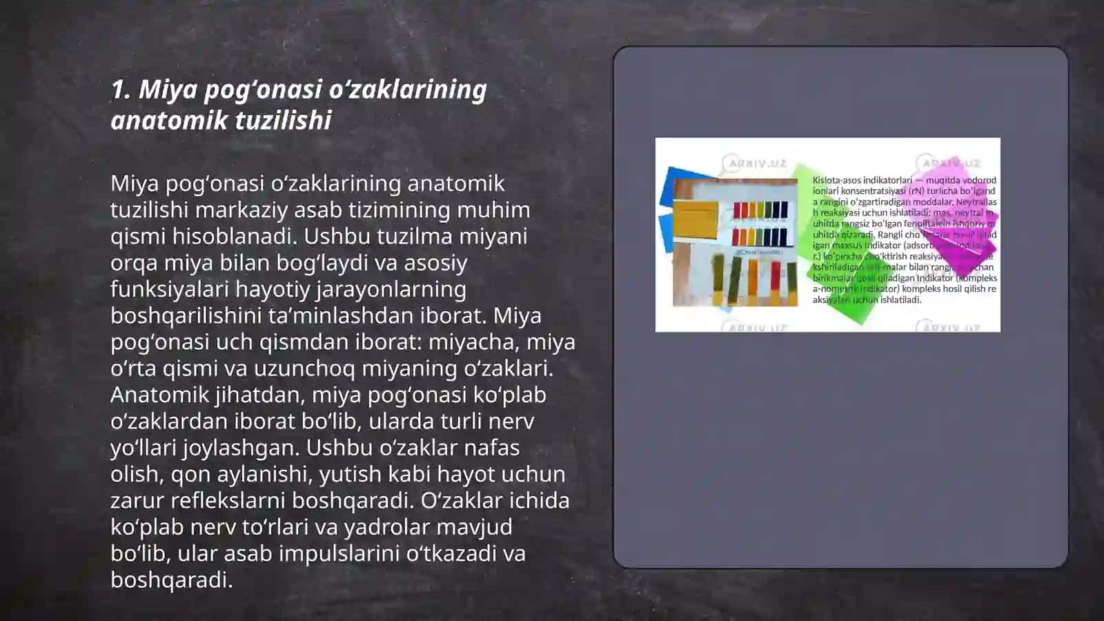 Miya pogʻonasi oʻzaklari va ularning ahamiyati 3