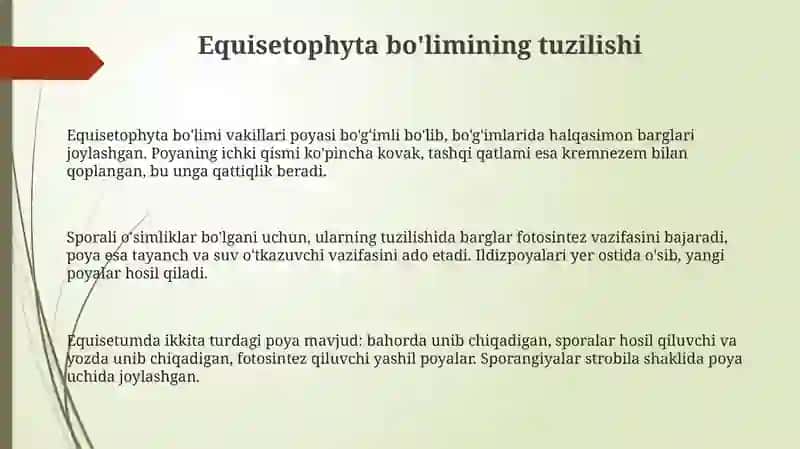 Equisetophyta bo'limi 3