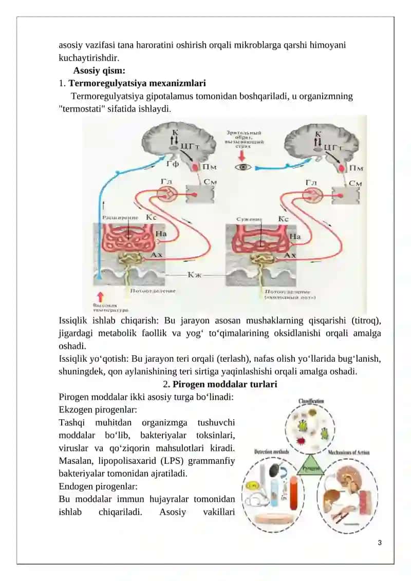 Pirogen moddalar va ularning termoregulyatsiya jarayonidagi ahamiyati 3