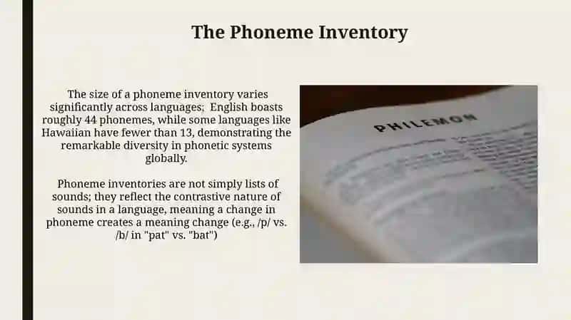 Phoneme theory 3