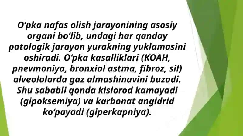 O‘pka kasalliklari va ularning yurak faoliyatiga ta’siri 3