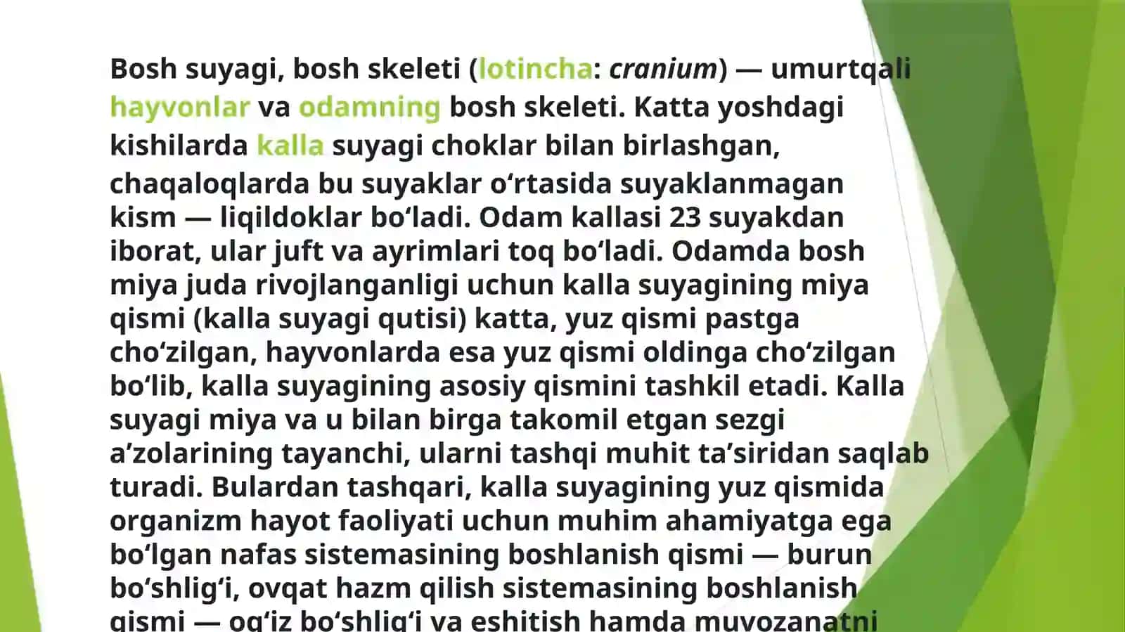 Kalla suyaklarining rentgenanatomiyasi 3