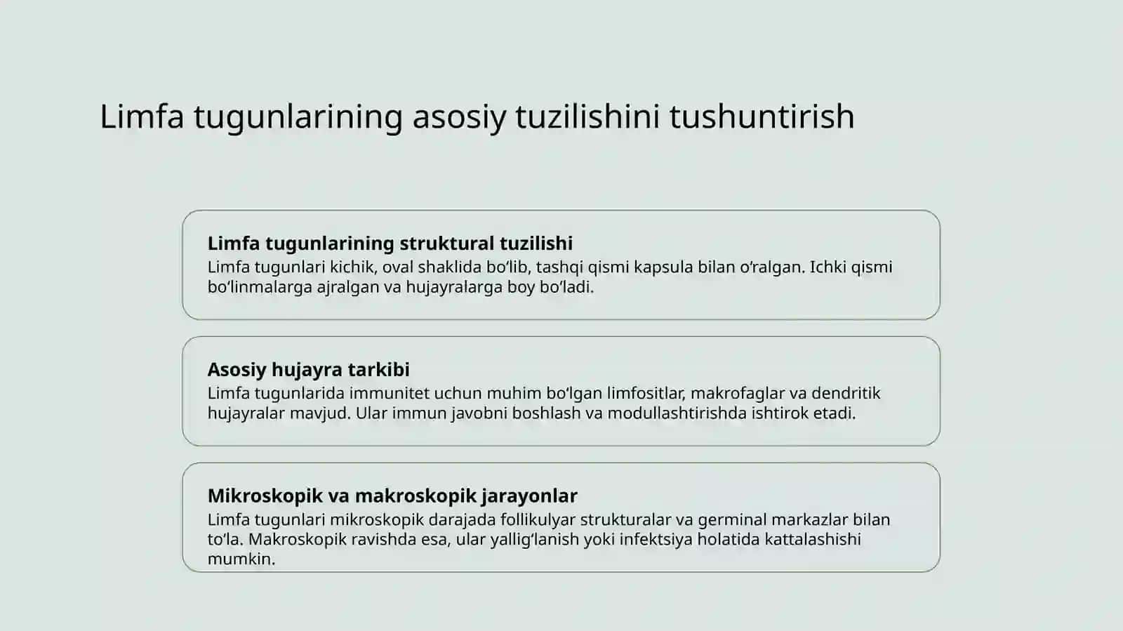 Limfa tugunlari 3