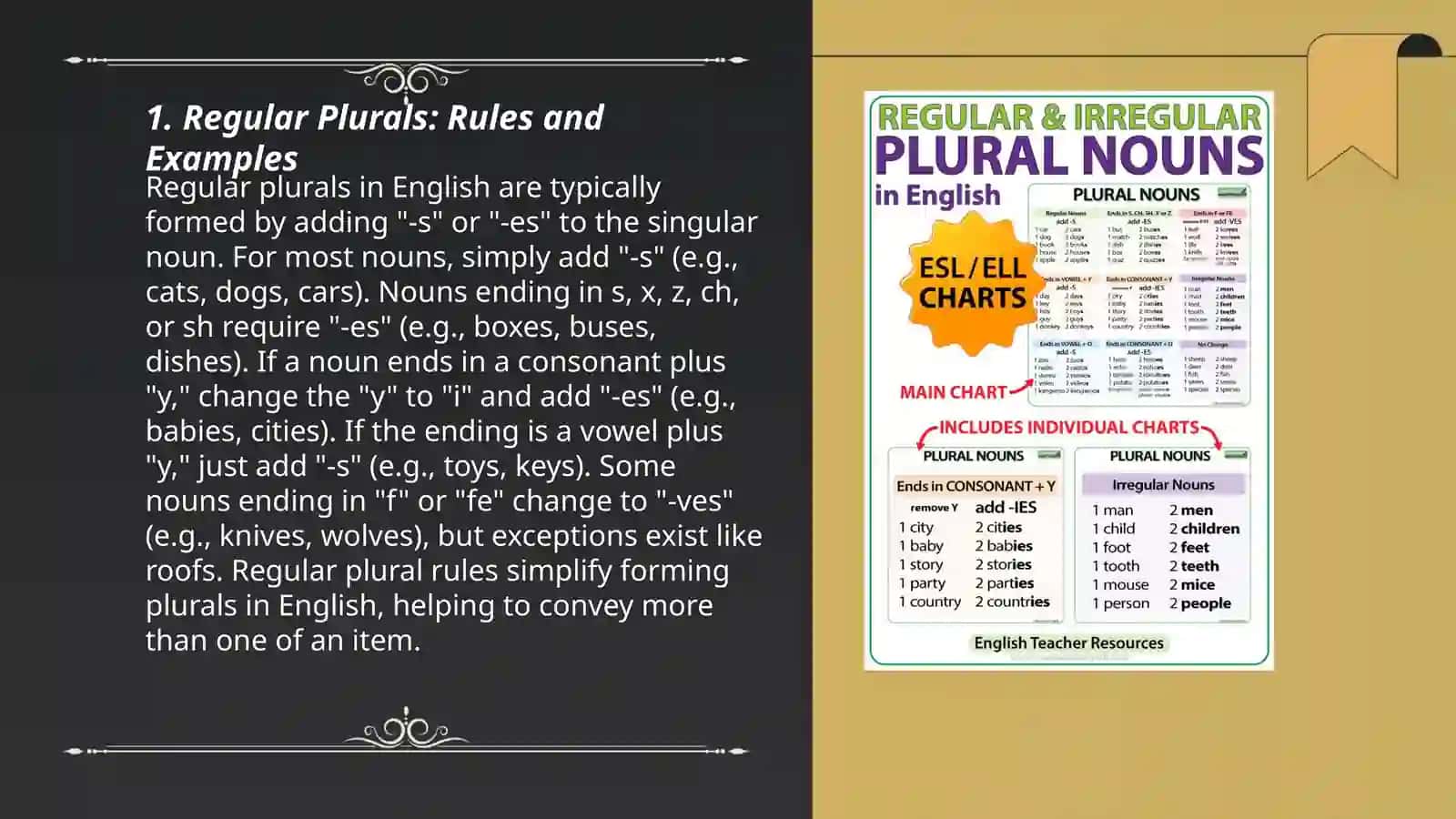 Regular and irregular plural and Hometown 3