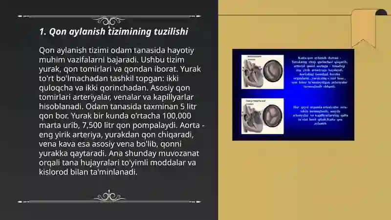 Qon aylanish tizimi 3