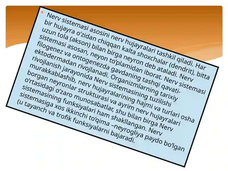 Nervsistemasi 3