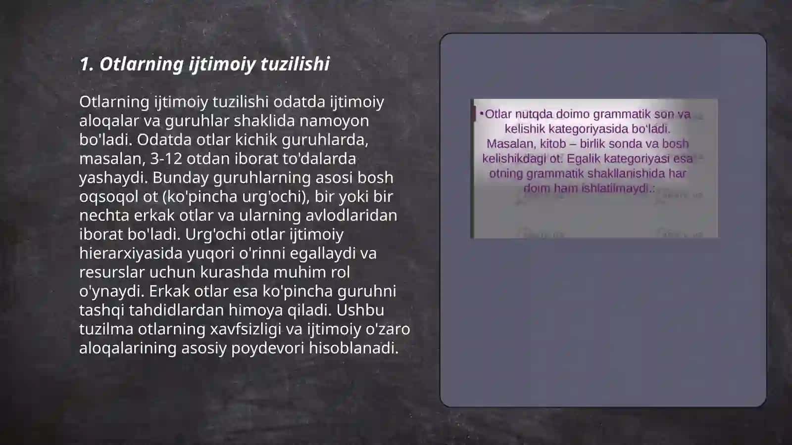 Otlarning aloqa munosabat kategoriyalari 3