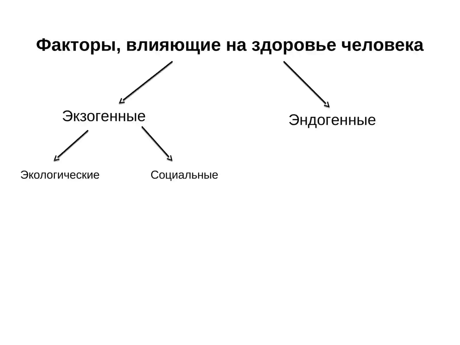 Здоровье, методы изучения и оценки здоровья детей и подростков 3
