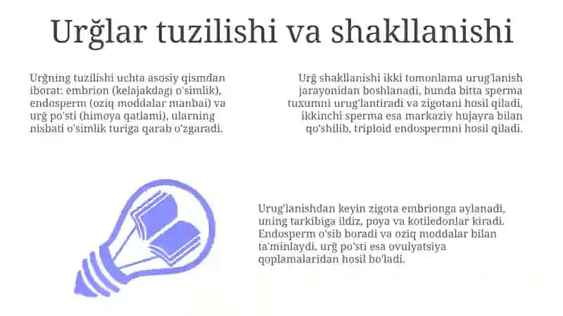 Oʻsimliklarni urugʼlari 3