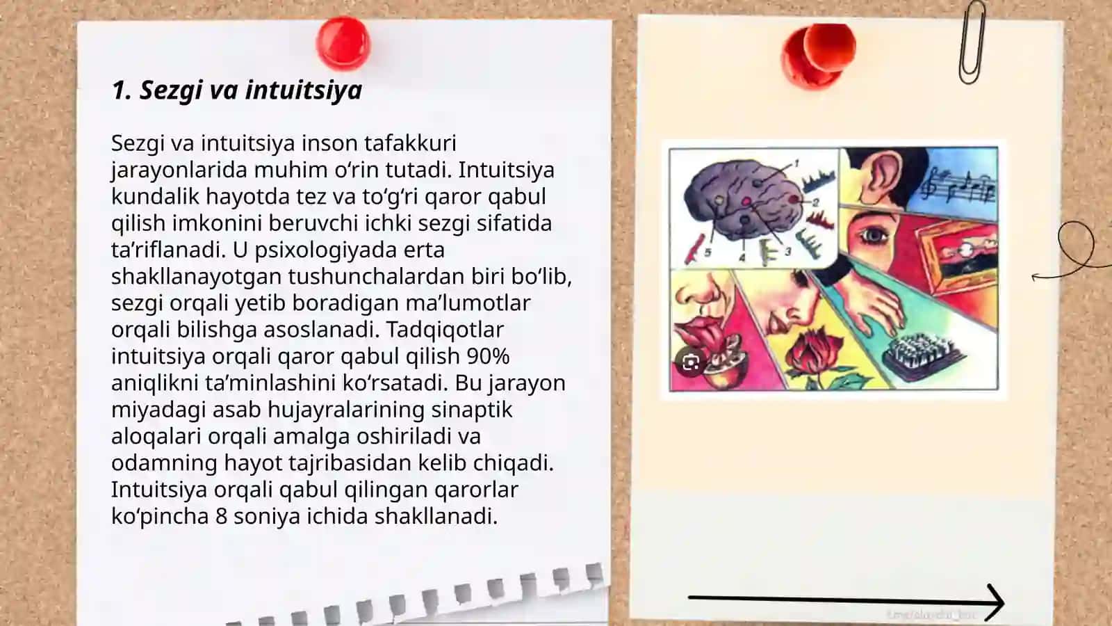 Sezgi va intuitsiya 3