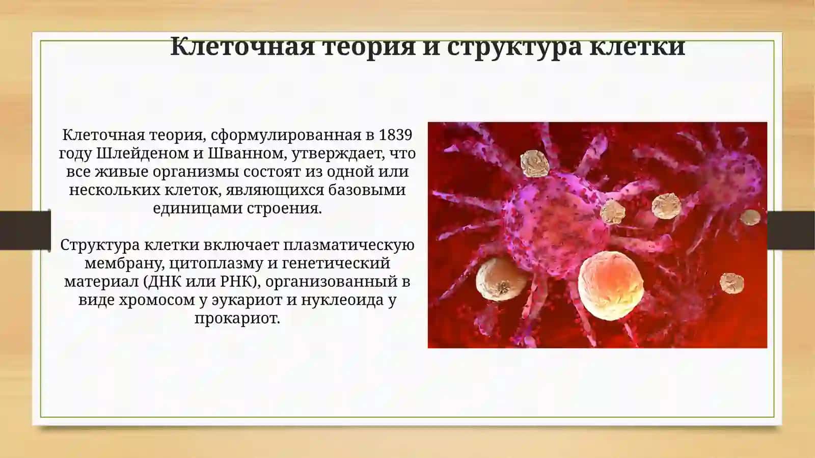 Клетка 3