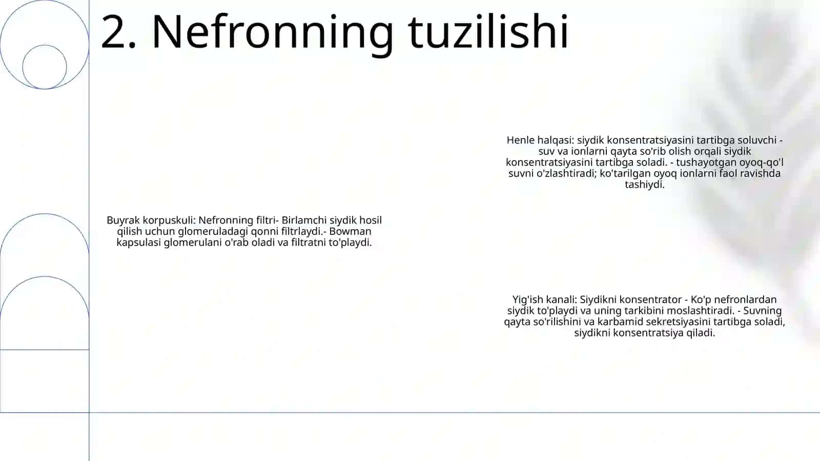 Buyrak Biokimyosi 3