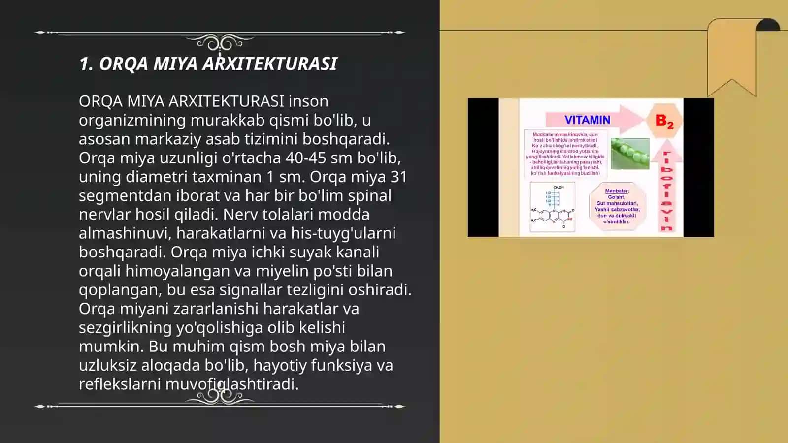 ORQA MIYA ARXITEKTURASI 3