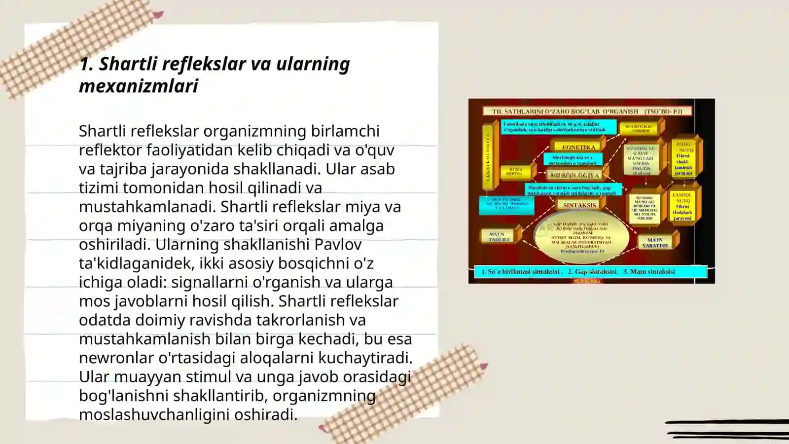 Shartli reflekslarni shakllanishini o'rganish 3
