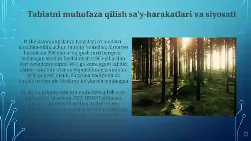 O'zbekiston to‘qay o'rmonlari. Dendrologik tarkibi 3
