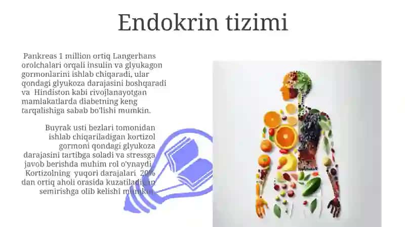 Endokrin tizimi 3