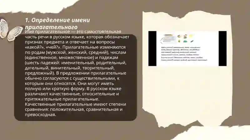 Имя прилагательное как часть речи 3