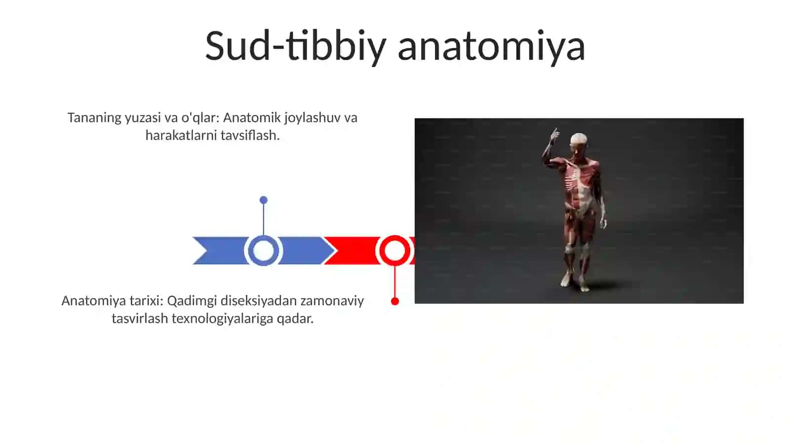 Sud-tibbiy anatomiya 3