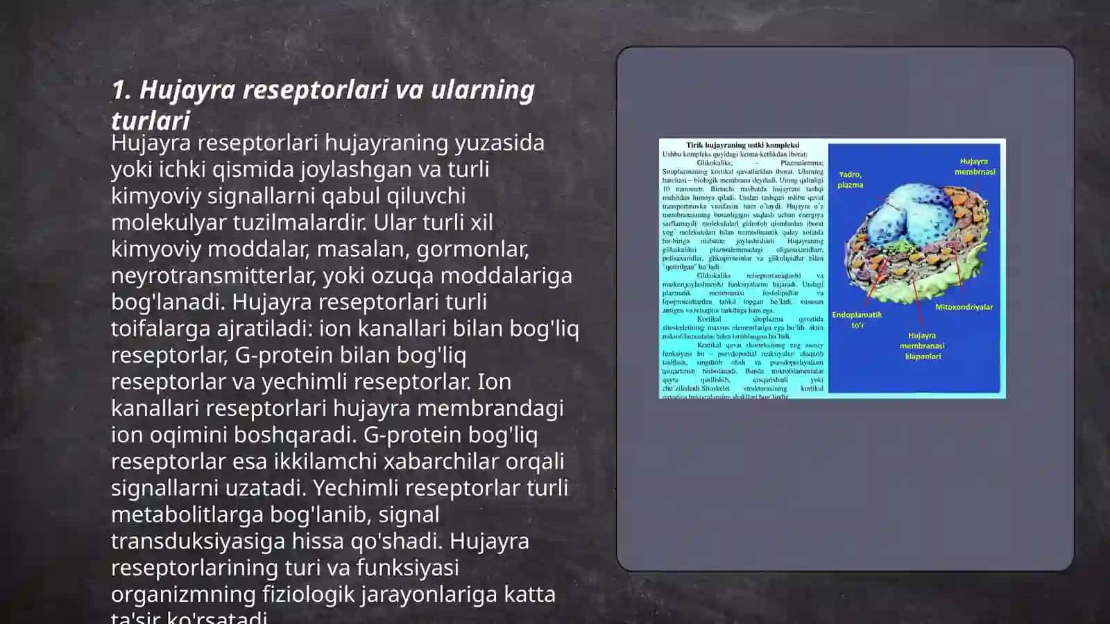 Hujayra Reseptorlari 3