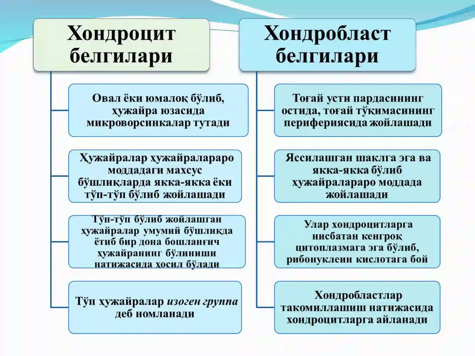 Тоғай ва суяк тўқималари 3