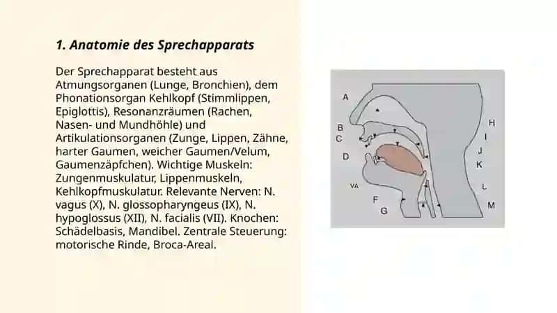 Der Sprechapparat 3