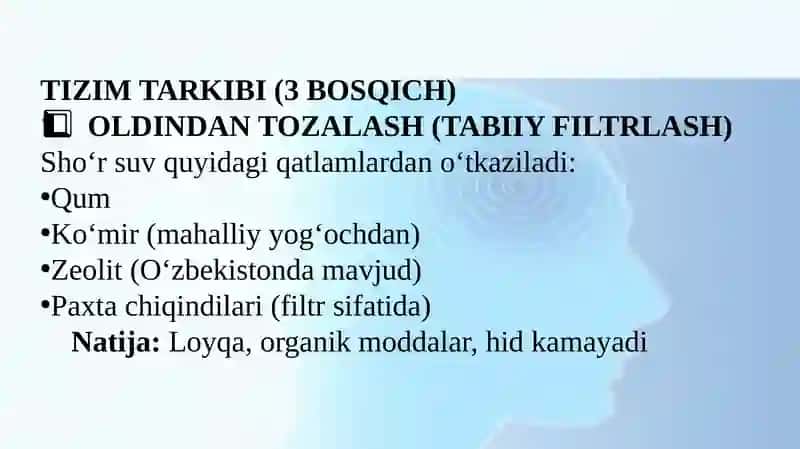 O'zberistonsharoitidasho'r suvlar 3
