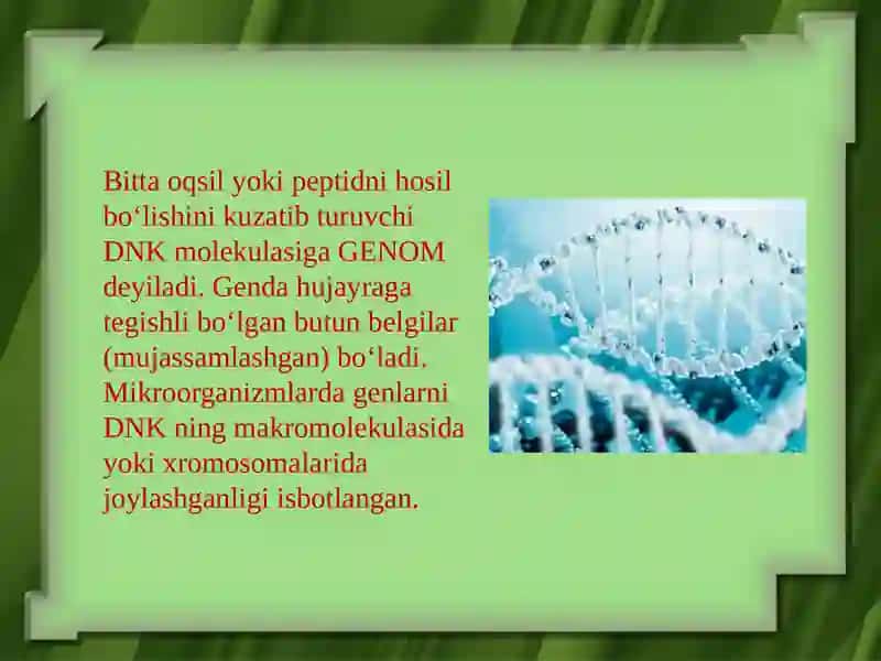 Mikroorganizmlar genetikasi 3