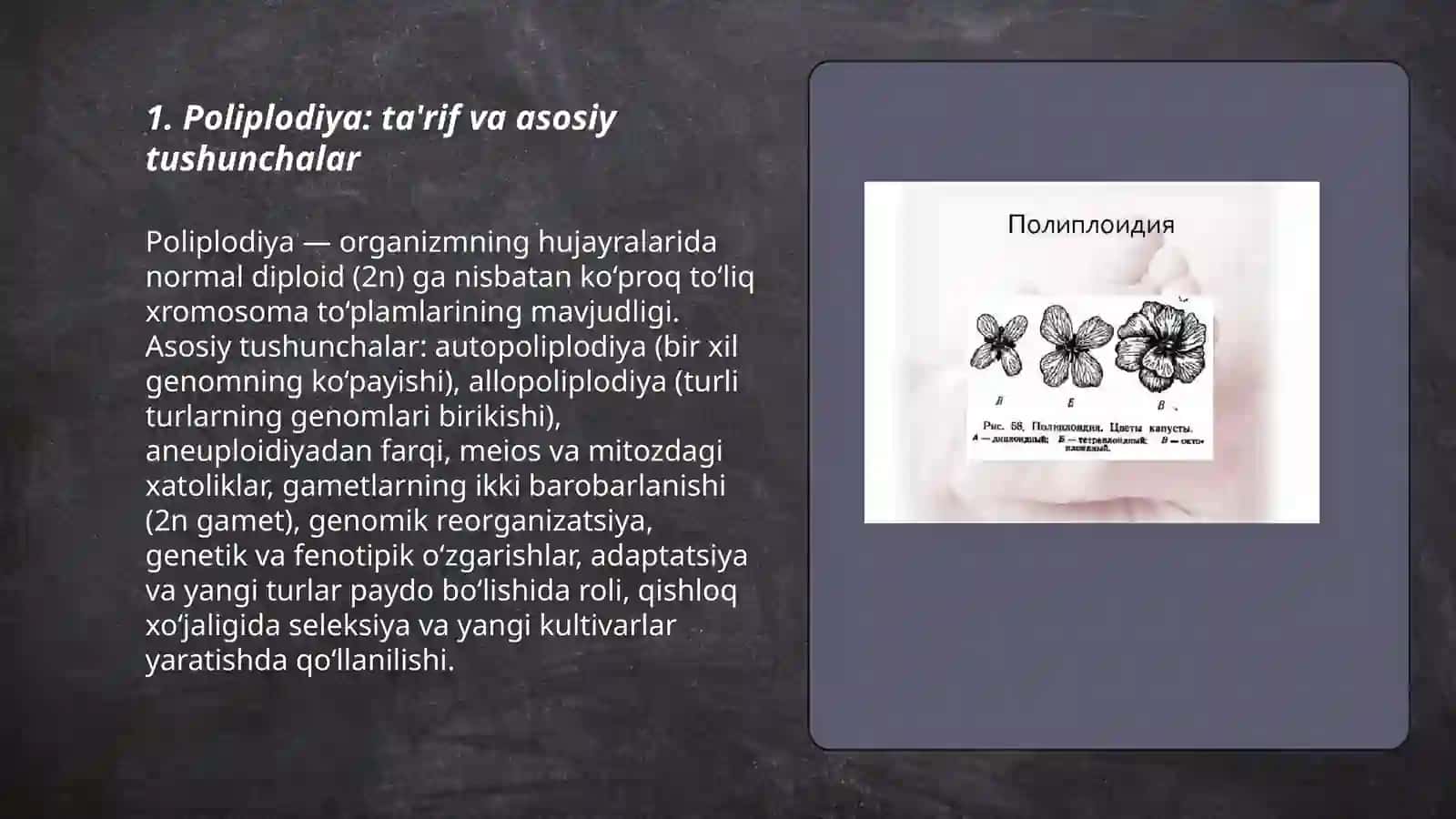 Poliplodiya 3