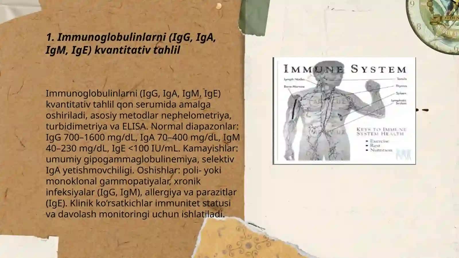 Immunoglobulinlarni (IgG, IgA, IgM, IgE) kvantitativ tahlil 3