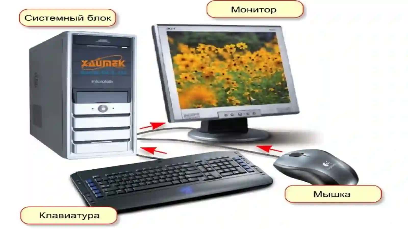 ИНФОРМАТИКА 3-4 КЛАСС 3